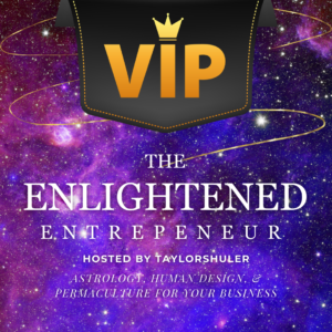 The Enlightened Entrepreneur Summit