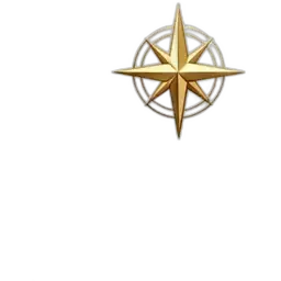 Gold compass star